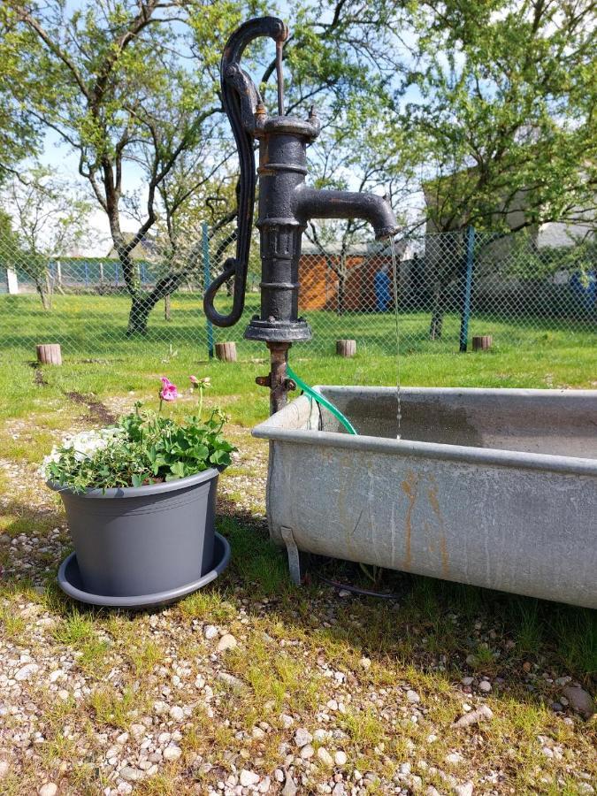 Gite Au Pommier Fleuri Et Son "Appart" Independant Drusenheim Bagian luar foto