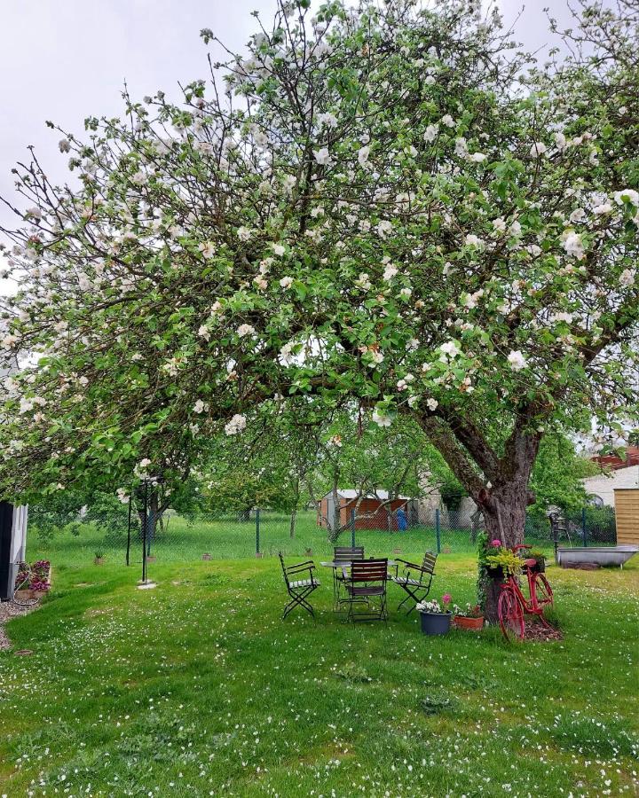 Gite Au Pommier Fleuri Et Son "Appart" Independant Drusenheim Bagian luar foto