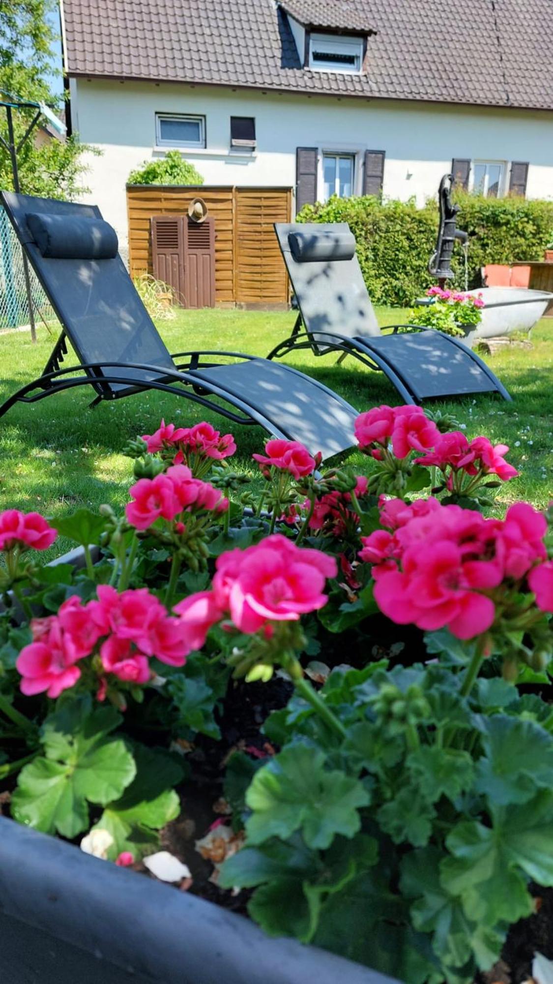 Gite Au Pommier Fleuri Et Son "Appart" Independant Drusenheim Bagian luar foto