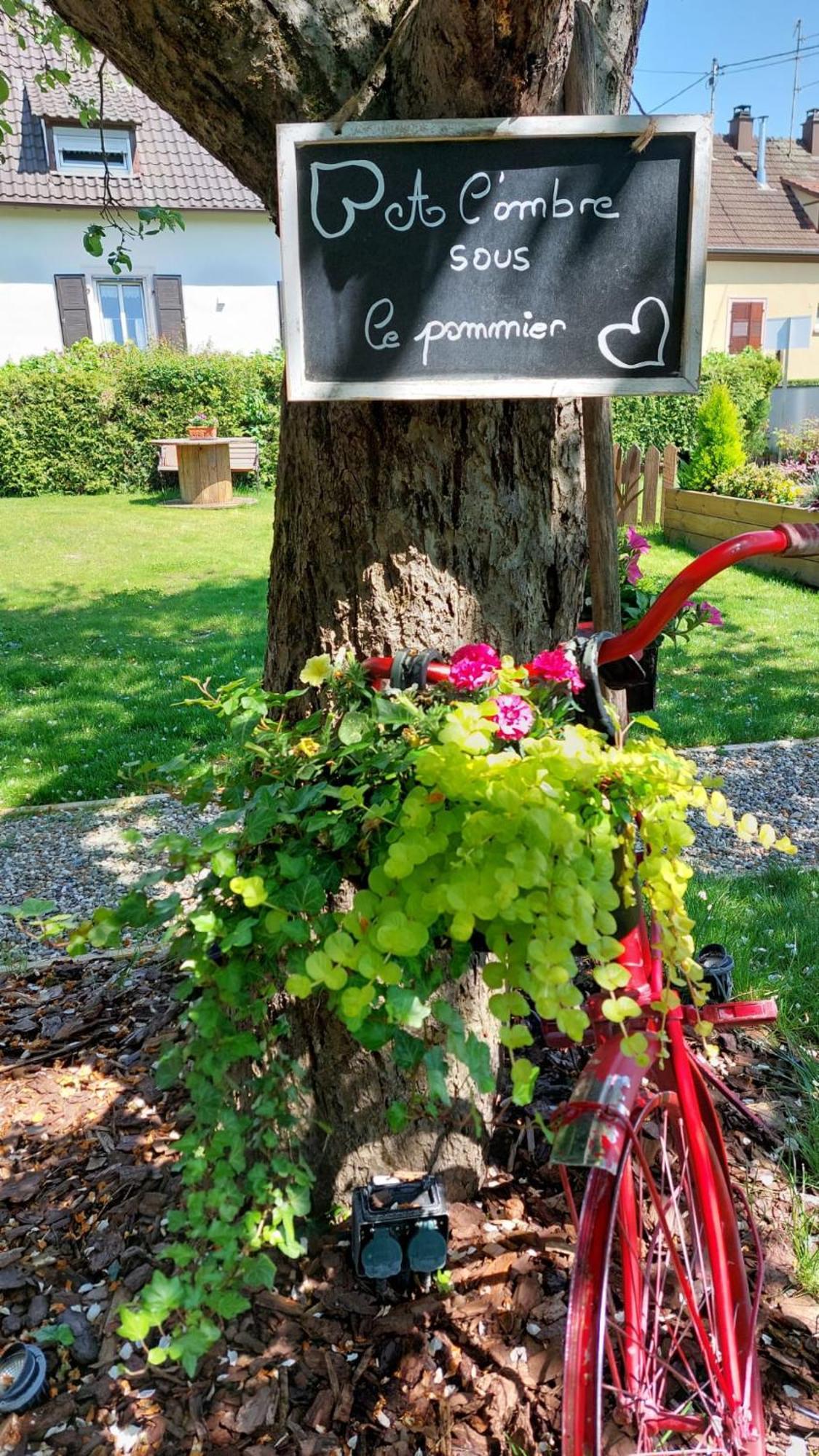 Gite Au Pommier Fleuri Et Son "Appart" Independant Drusenheim Bagian luar foto